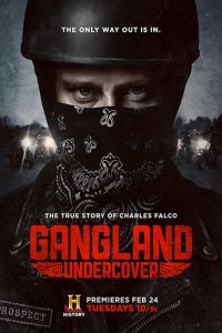 Постер к Под прикрытием (1 сезон) / Gangland Undercover (2015)